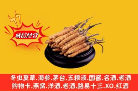 延边州汪清名酒回收冬虫夏草.jpg